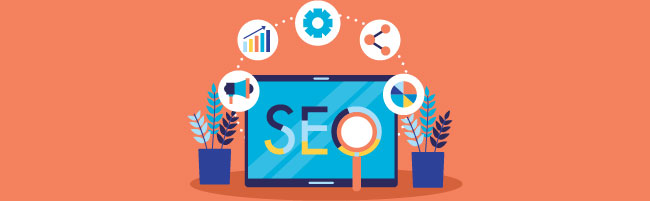Need for on-page, off-page and technical SEO